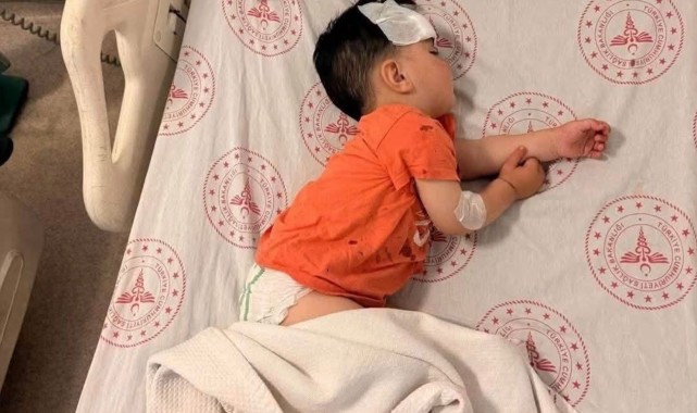 Şanlıurfa'da başıboş sokak köpeğinin saldırdığı 1,5 yaşındaki çocuk yaralandı