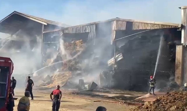 Şanlıurfa'da hayvan çiftliğinde yangın