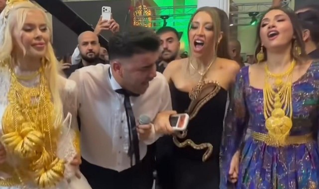 Şanlıurfalı fenomenlerinde davet edildiği düğünde damat Vanlı Kara Haydar gözaltına alındı
