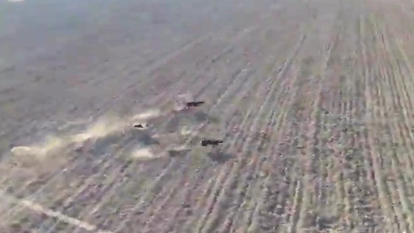 Şanlıurfa’da tavşan kaçtı, tazılar kovaladı: O anlar drone ile görüntülendi