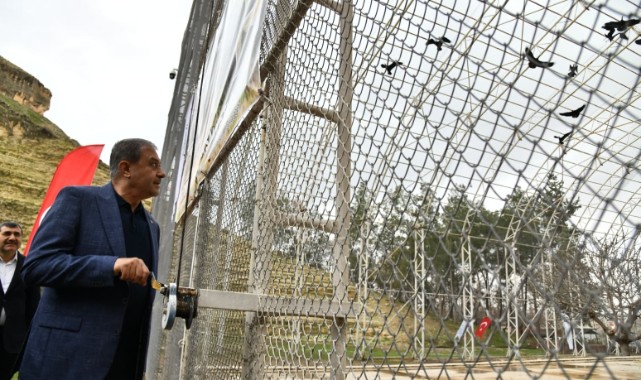 Bereket sembolü kafesteki 277 kelaynak doğaya salındı