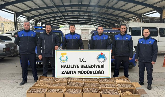 Şanlıurfa’da bayram öncesi denetim: Küflü cevizli baklava imalathanesine baskın