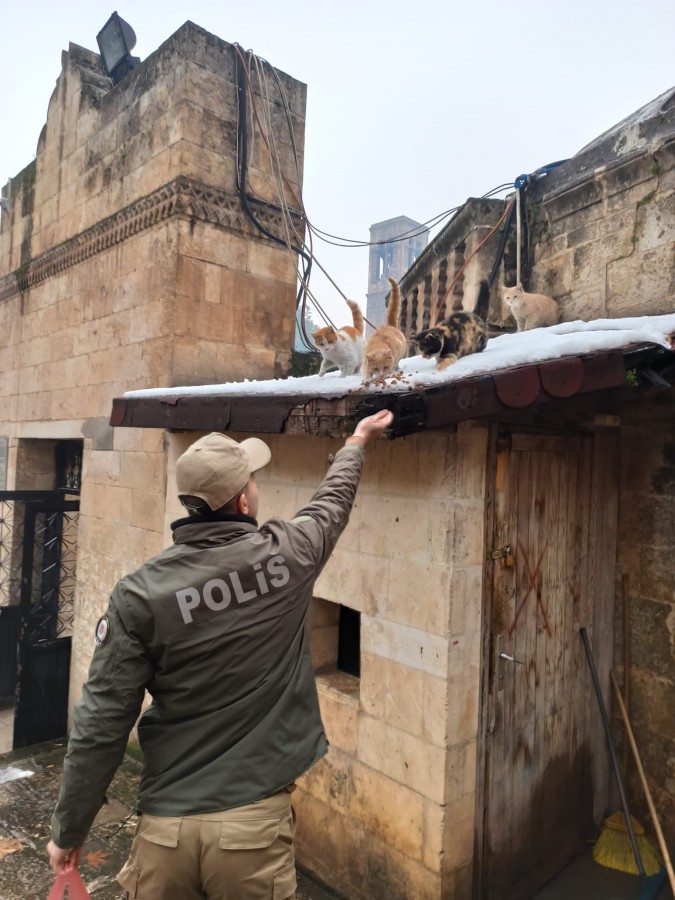 Polis ekipleri sokak hayvanlarını unutmadı