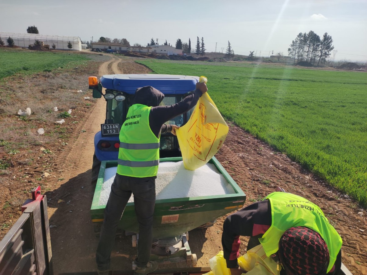 Büyükşehir’den, Akçakale fidanlığına buğday ekimi