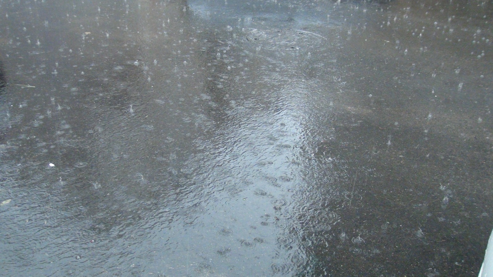 Şanlıurfa’da sağanak yağış etkili oluyor;