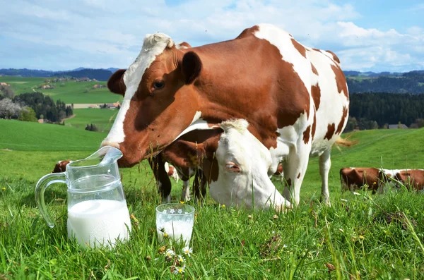 2022’de çiğ süt üretimi azaldı;