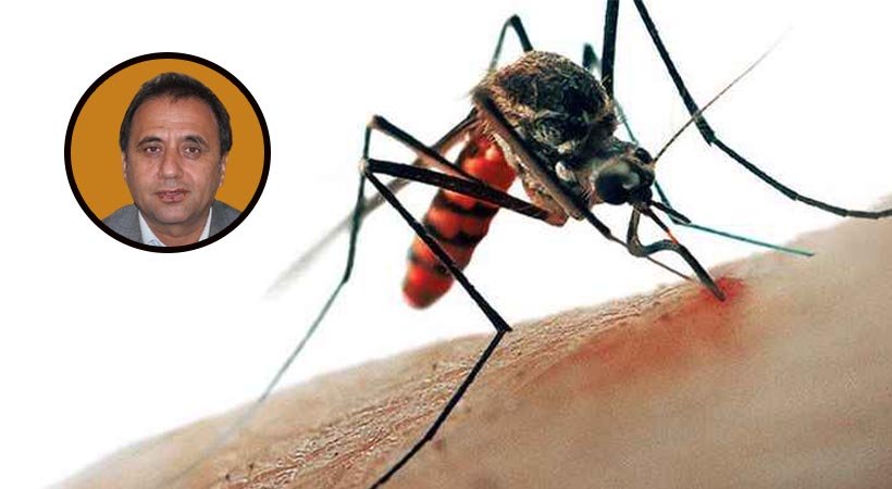 Uzmanından sivrisinek uyarısı: Hastalığa neden olabilir;