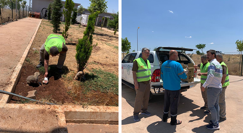 Şanlıurfa’da hayvan barınağına denetim