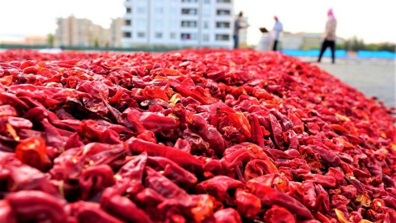 Şanlıurfa'nın ihracat ve ithalat rakamları belli oldu