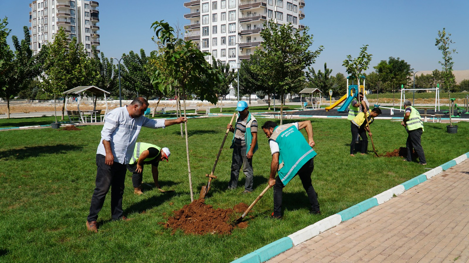 Haliliye Belediyesi parklarda ağaçlandırma çalışması yapıyor