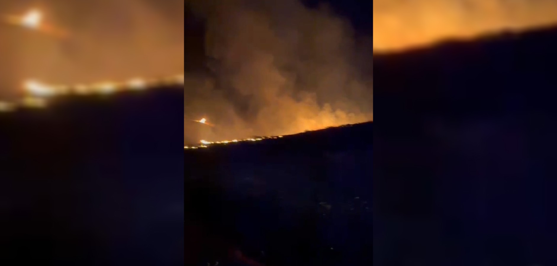 Şanlıurfa'nın tek ormanında yangın!
