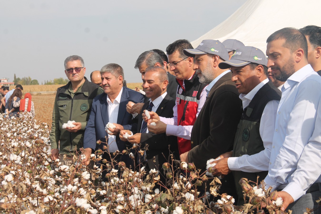 Şanlıurfa’da pamuk festivali düzenlendi