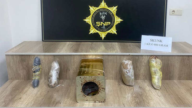 Şanlıurfa'da 1 kilo 800 gram skunk ele geçirildi