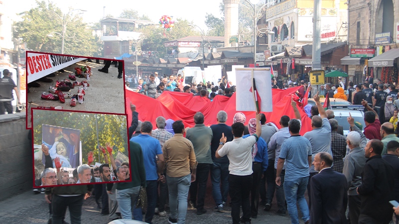 Urfa’da Filistin için yürüyüş düzenlendi