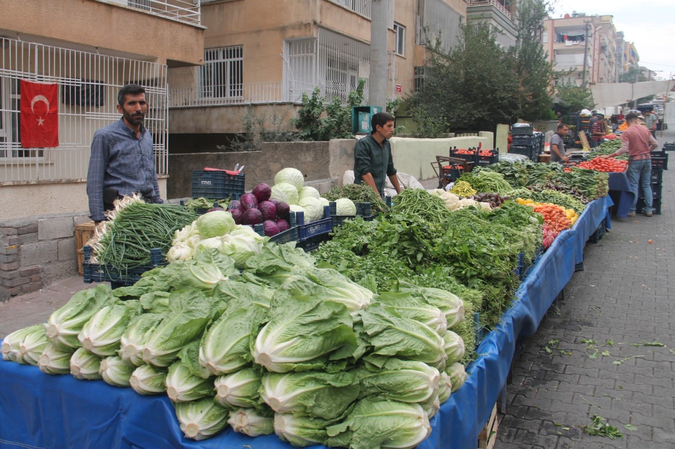 Urfa’da turşuluk salatalığın fiyatı cep yakıyor