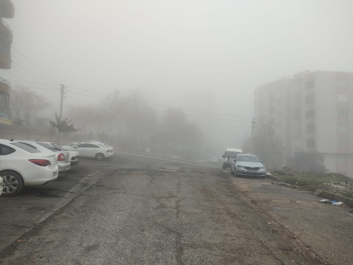 Şanlıurfa’da öğlen saatlerinde yoğun sis