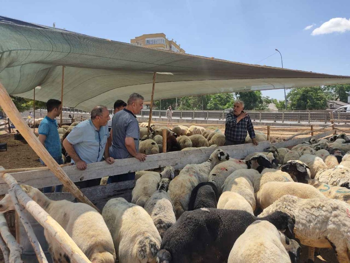 2024 kurban kesim bedeli ne kadar?