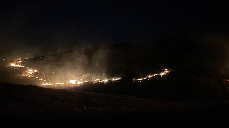 Eyyübiye’de korkutan orman yangını;