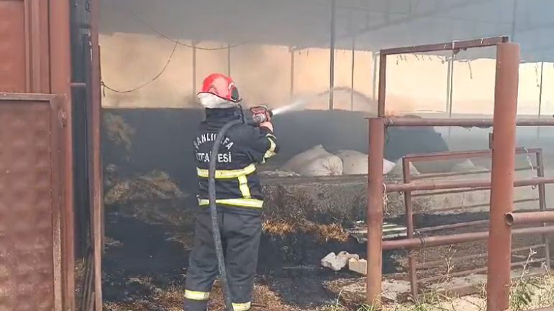 Eyyübiye’deki yangın itfaiye ekipleri tarafından söndürüldü;