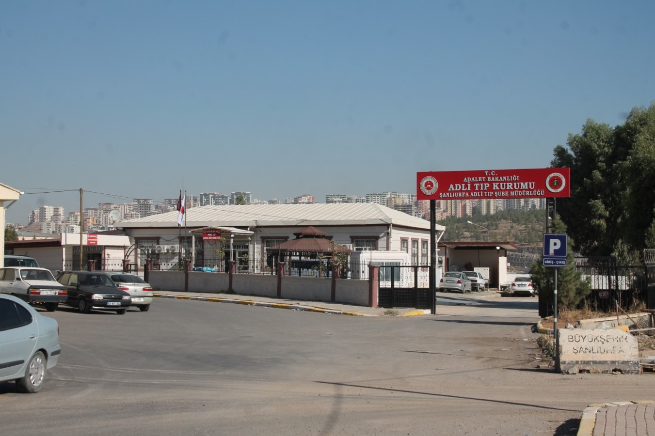 Şanlıurfa’da otomobilin çarptığı çoban hayatını kaybetti