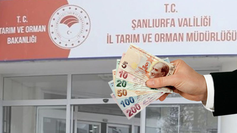 Şanlıurfa İl Tarım ve Orman Müdürlüğü duyurdu: Destekleme başvuruları başladı;