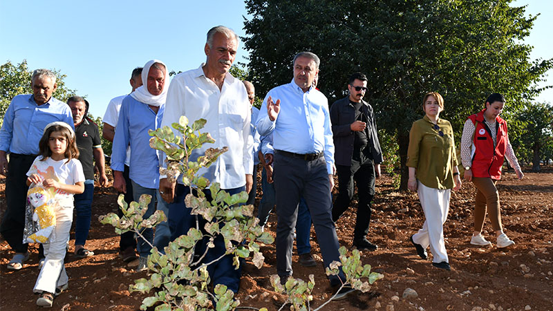 Şanlıurfa tarımsal üretimde de değerlerine sahip çıkıyor;