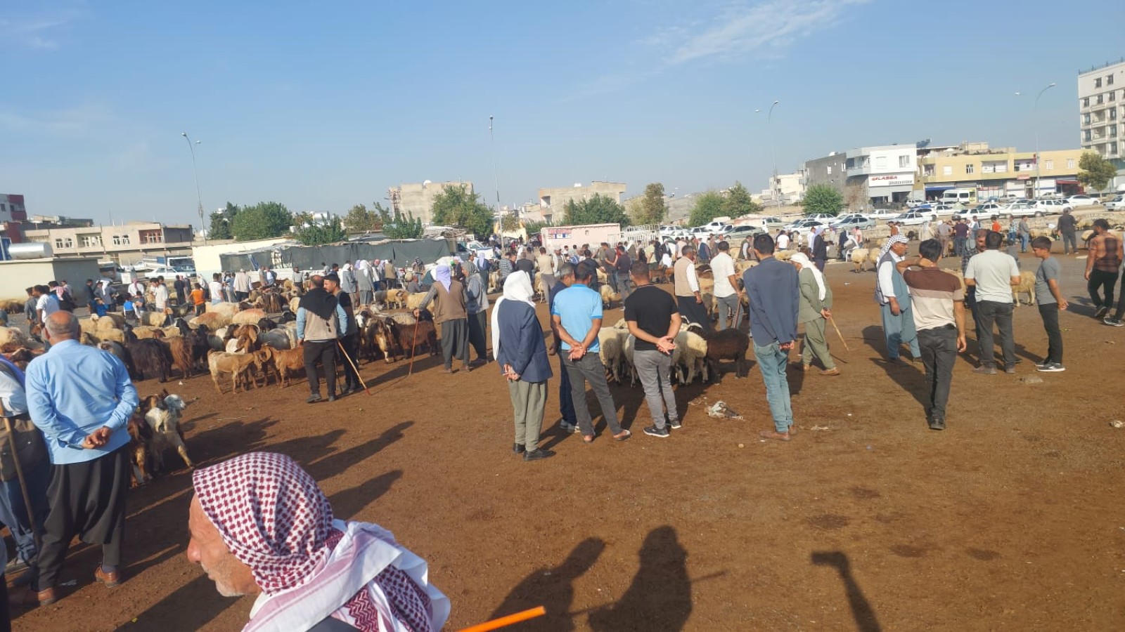 Şanlıurfa’da sonbahar bereketi: Hayvan pazarı canlandı!;