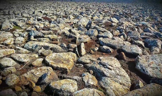 Şanlıurfa’da volkanik bazalt taşlarının altında cephanelik ele geçirildi: 8 gözaltı