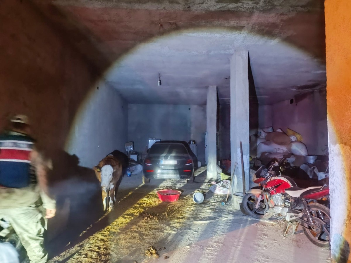 Şanlıurfa’da çalıntı otomobil ahırda bulundu