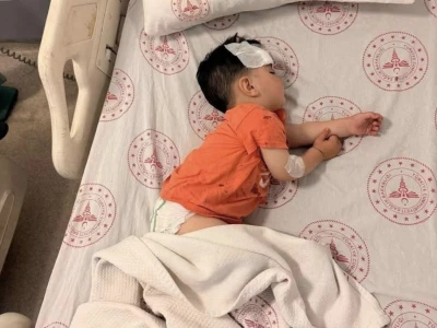 Şanlıurfa'da başıboş sokak köpeğinin saldırdığı 1,5 yaşındaki çocuk yaralandı