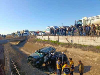 Şanlıurfa'da yaralı kartal tedaviye alındı