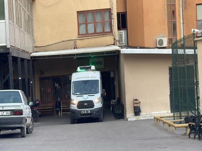 Şanlıurfa'da yaralı kartal tedaviye alındı