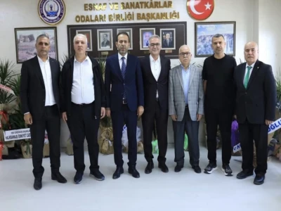 Şanlıurfa'da yaralı kartal tedaviye alındı