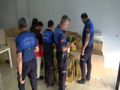 Şanlıurfa'da yaralı kartal tedaviye alındı