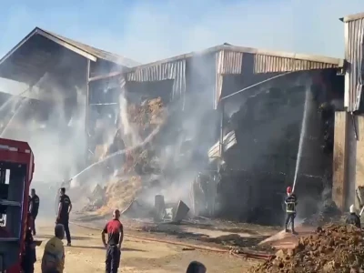 Şanlıurfa'da hayvan çiftliğinde yangın