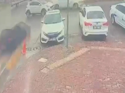 Şanlıurfa'da yaralı kartal tedaviye alındı