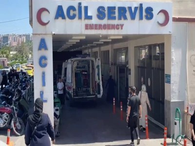 Şanlıurfa'da yaralı kartal tedaviye alındı