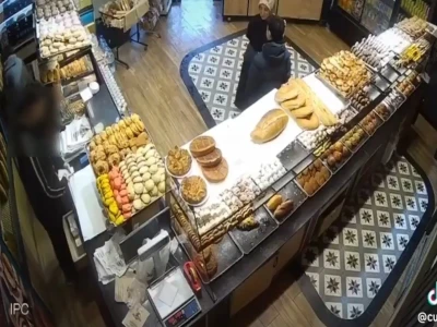 Şanlıurfa'da yaralı kartal tedaviye alındı