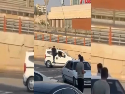 Şanlıurfa'da yaralı kartal tedaviye alındı