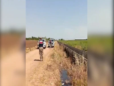 Şanlıurfa'da yaralı kartal tedaviye alındı