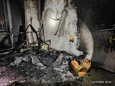 Şanlıurfa'da yaralı kartal tedaviye alındı