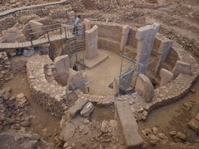 Şanlıurfa'da yaralı kartal tedaviye alındı