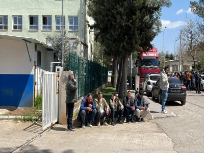 Şanlıurfa'da yaralı kartal tedaviye alındı