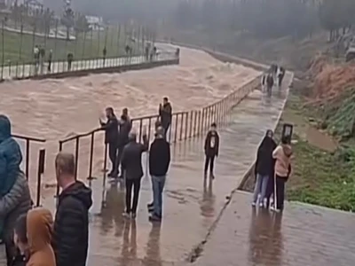 Şanlıurfa'da yaralı kartal tedaviye alındı