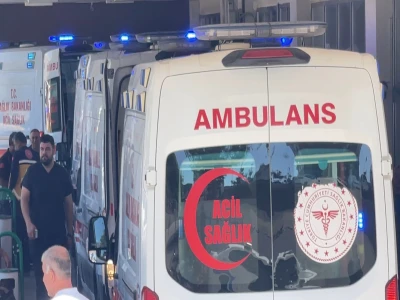 Şanlıurfa'da yaralı kartal tedaviye alındı