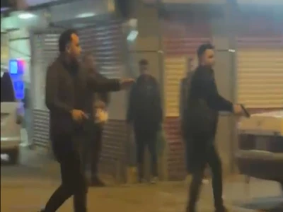 Şanlıurfa'da yaralı kartal tedaviye alındı