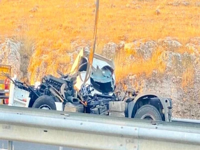Şanlıurfa'da yaralı kartal tedaviye alındı