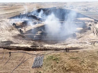 Şanlıurfa'da yaralı kartal tedaviye alındı