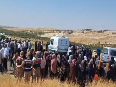 Şanlıurfa'da yaralı kartal tedaviye alındı
