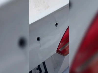 Şanlıurfa'da yaralı kartal tedaviye alındı